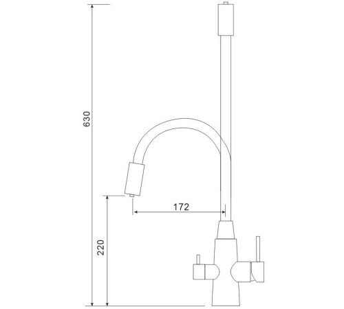 Смеситель Gross Aqua Neosteel GA3133611SSB