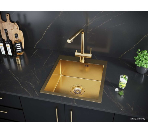 Кухонная мойка Paulmark Kroner 45 PM214551-BG