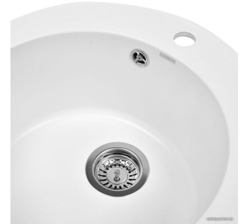 Кухонная мойка Wisent 510-28WR с сифоном GER013