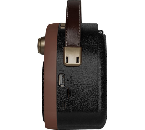 Радиоприемник Ritmix RPR-040 шоколадный