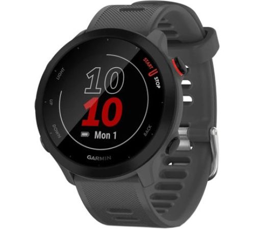 Умные часы Garmin Forerunner 55 серый