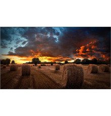 Информационная панель Samsung VM55T-U