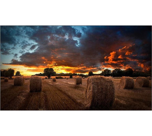 Информационная панель Samsung VM55T-U