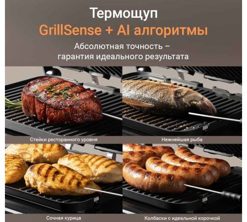 Электрогриль Redmond Редмонд SteakMaster GM306