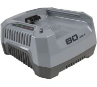 Зарядное устройство Stiga SFC 80 AE 270012088/S16 80В