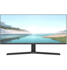 Игровой монитор NPC MZ300L