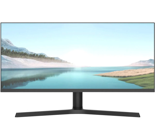 Игровой монитор NPC MZ300L