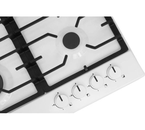 Варочная панель Hansa BHGW630301