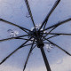 Зонт Rain Berry Цветы 734-23342.1