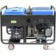 Бензиновый генератор ТСС SGG 16000EH3LA