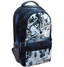 Городской рюкзак Erich Krause ActiveLine Ergoback 22L Timber Wolf 60148