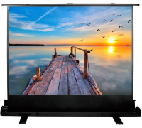 Проекционный экран CACTUS FloorExpert 113x200 CS-PSFLE-200х113