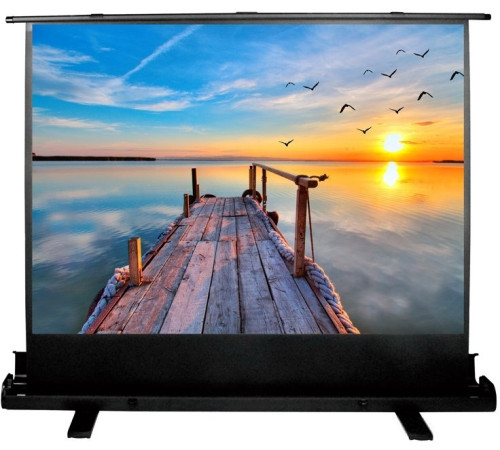 Проекционный экран CACTUS FloorExpert 113x200 CS-PSFLE-200х113