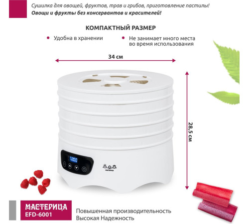 Сушилка для овощей и фруктов Мастерица EFD-6001