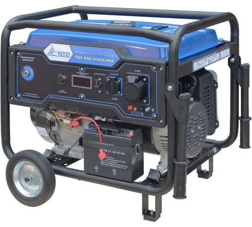 Бензиновый генератор ТСС SGG 8000EHNA