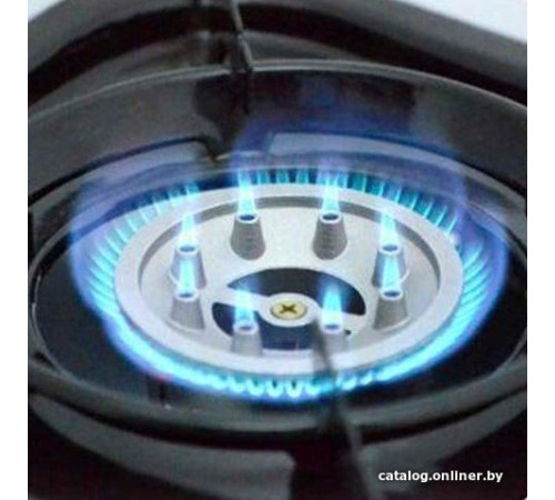 Туристическая плита Следопыт Maximum PF-GST-DM01