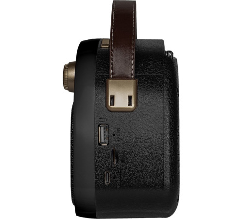 Радиоприемник Ritmix RPR-040 черный