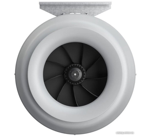 Осевой вентилятор ERA D250 Pro Cyclone 250