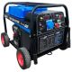 Бензиновый генератор ТСС PROF GGW 6.0/200E MMA/TIG/Cellulose