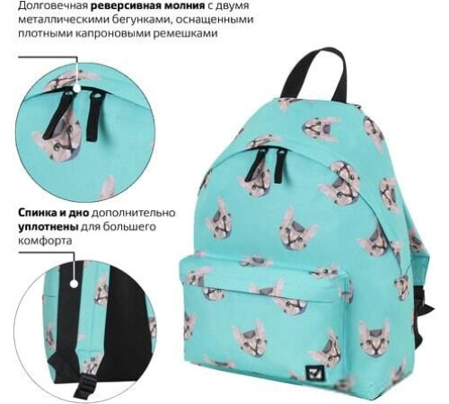 Городской рюкзак BRAUBERG Cats 229881