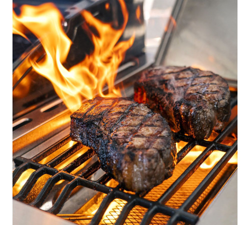 Газовый гриль для дачи Nexgrill Deluxe 720-0958HA