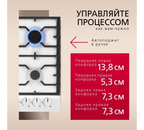 Варочная панель Hansa BHGW611839