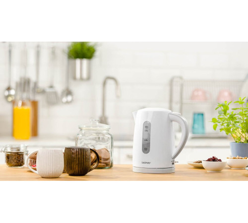 Электрический чайник Zelmer ZCK7616S