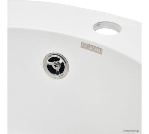 Кухонная мойка Wisent 480-28WR с сифоном GER013