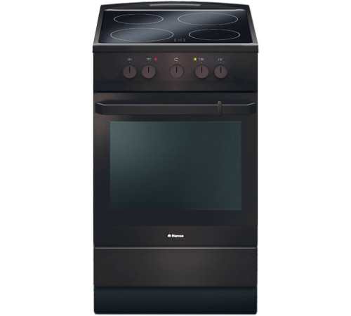 Кухонная плита  Hansa FCCB54000