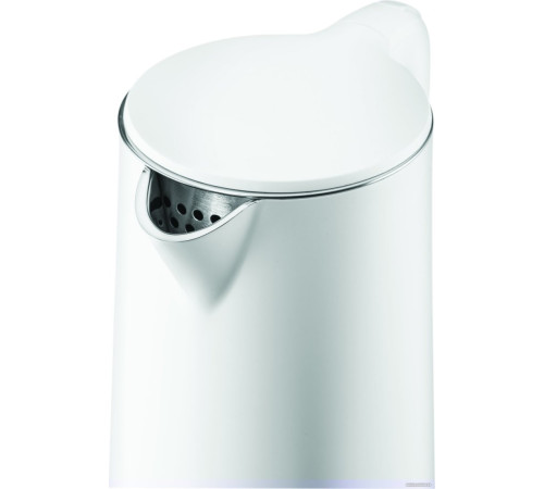 Электрический чайник Zelmer ZCK8040