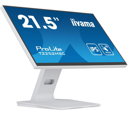 Монитор Iiyama ProLite T2252MSC-W2