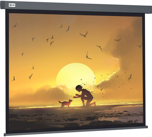 Проекционный экран CACTUS Wallscreen 124x221 CS-PSW-124X221-SG