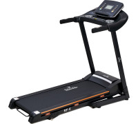 Электрическая беговая дорожка Royal Fitness RF-6