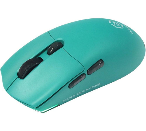 Мышь Raskat MG006TR