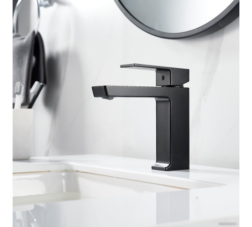 Смеситель Rose R1801H-1