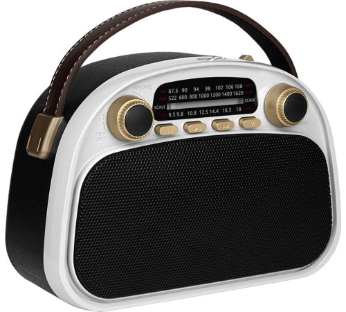 Радиоприемник Ritmix RPR-040 белый