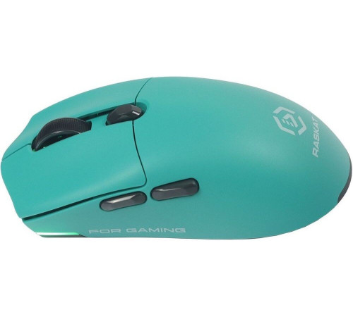 Мышь Raskat MG006TR