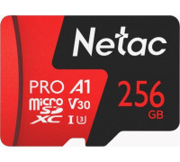 Карта памяти Netac P500 Extreme Pro 256GB NT02P500PRO-256G-S