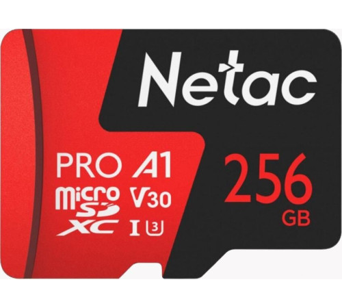 Карта памяти Netac P500 Extreme Pro 256GB NT02P500PRO-256G-S