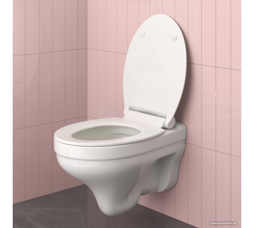 Унитаз подвесной Berges Wasserhaus Albit S Rimless 082147 Top Slim SO