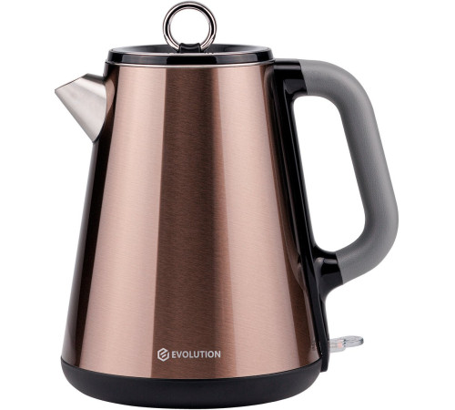 Электрический чайник Evolution KP17153 Steel