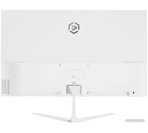 Монитор Raskat I24F10DAW