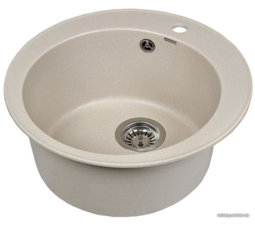 Кухонная мойка Wisent 510-30WR с сифоном GER013