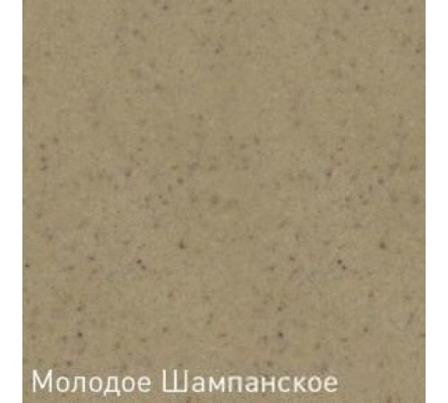 Кухонная мойка Zigmund & Shtain Eckig 800 молодое шампанское
