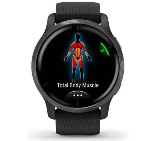Умные часы Garmin Venu 2 сланцевая нержавеющая сталь/черный