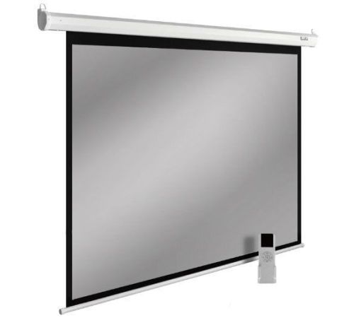 Проекционный экран CACTUS SIlverMotoExpert 150x240 CS-PSSME-240X150-DG
