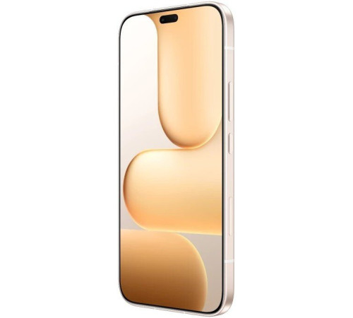 Телефон HONOR 600 Lite 8GB/256GB международная версия пустынное золото