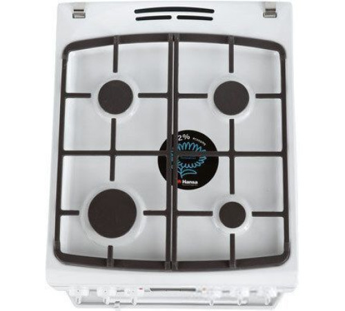 Кухонная плита Hansa FCMW59209