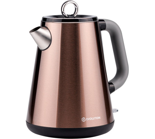 Электрический чайник Evolution KP17153 Steel