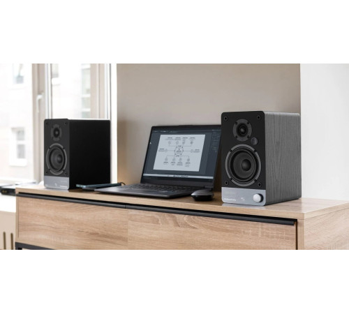 Полочная акустика Radiotehnika S-10NA